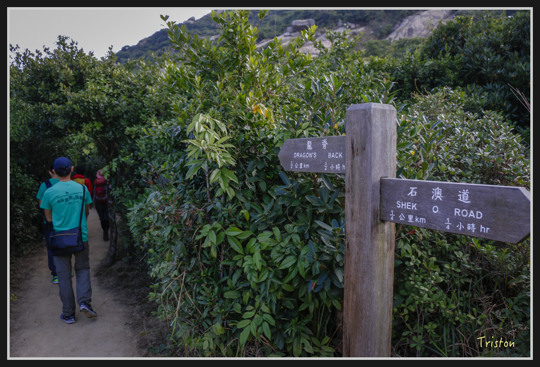 00116.jpg - 20170107 香港健行
