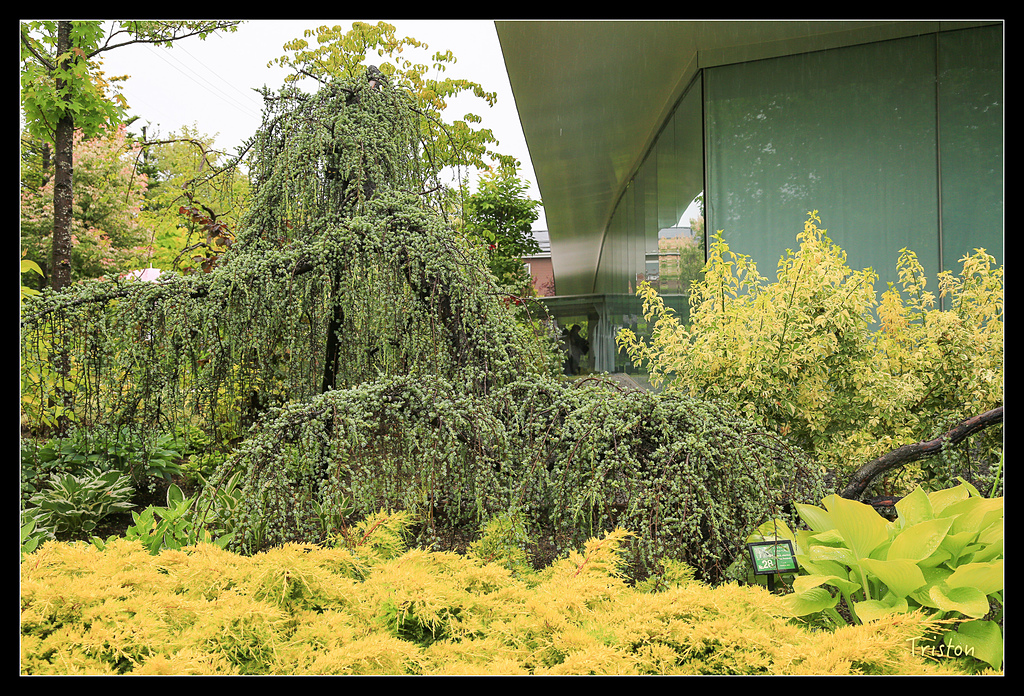 JH1A9528.jpg - 20150628 東京輕井澤日光