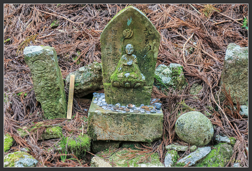 IMG_5489.jpg - 20160323 日本熊野古道健行