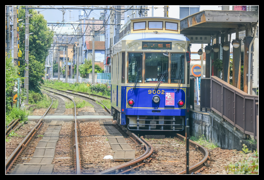 _MG_1781.jpg - 20170702 靜岡東海道之旅