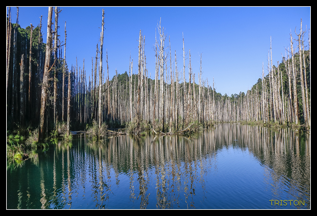 _MG_0326.jpg - 20170723 水漾森林