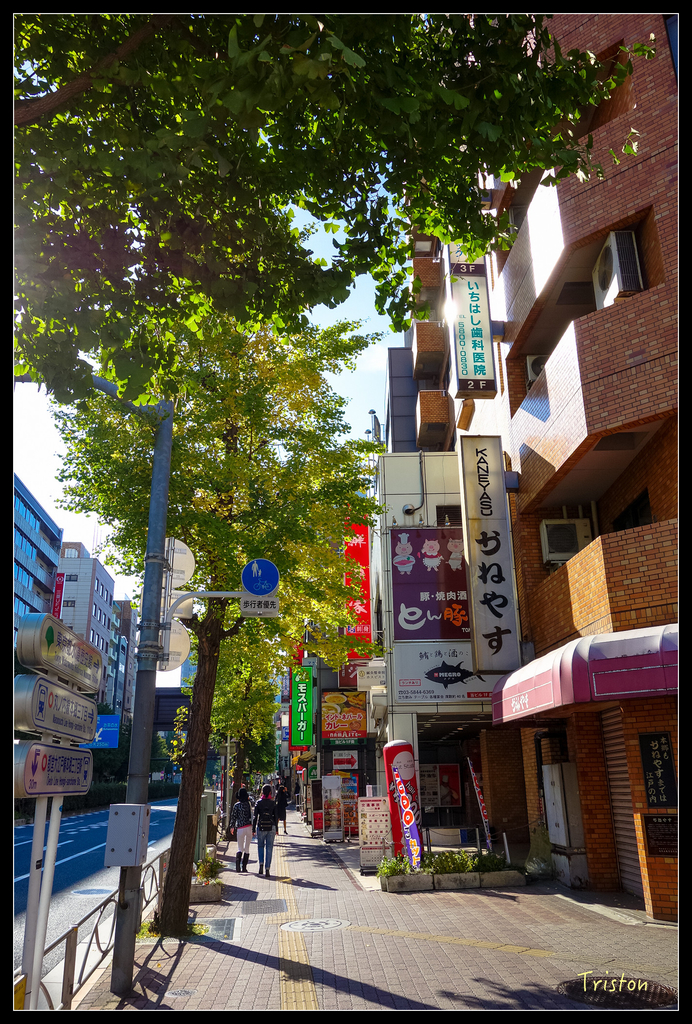 DSC00172.jpg - 20151031 秋天的童話-貴婦東京輕井澤紀行