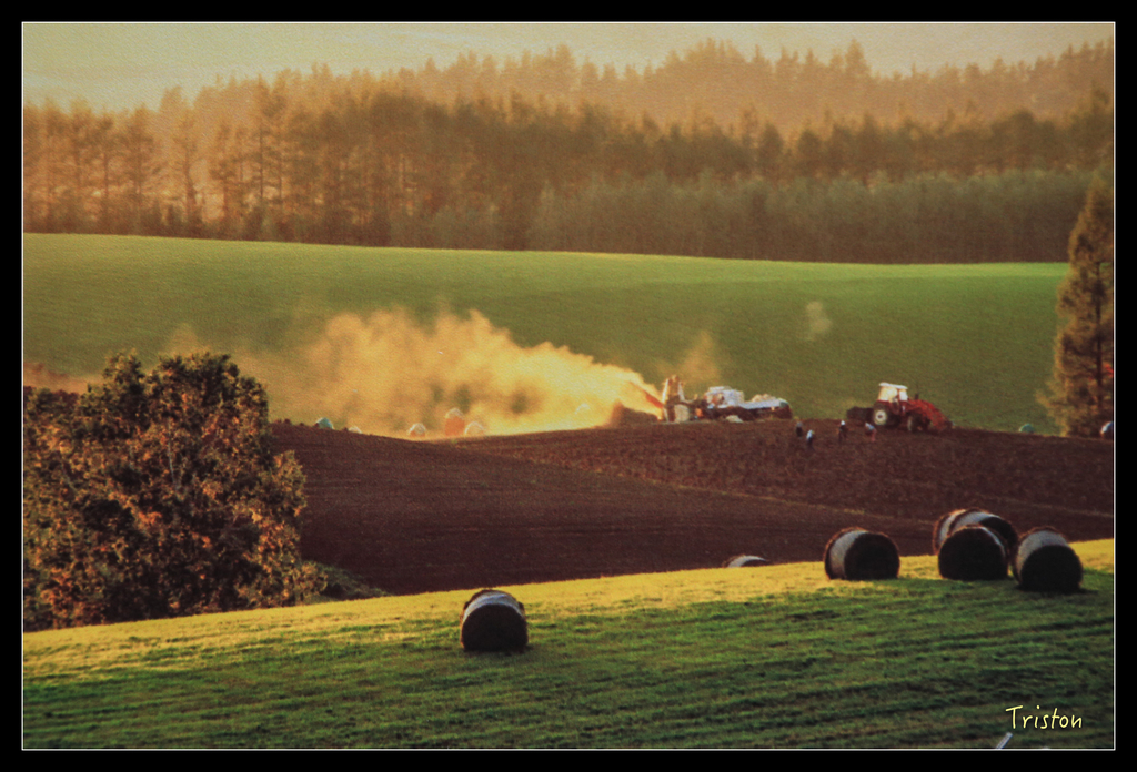 jh1a8722_21943600831_o.jpg - 20011002 北海道蜜月旅行