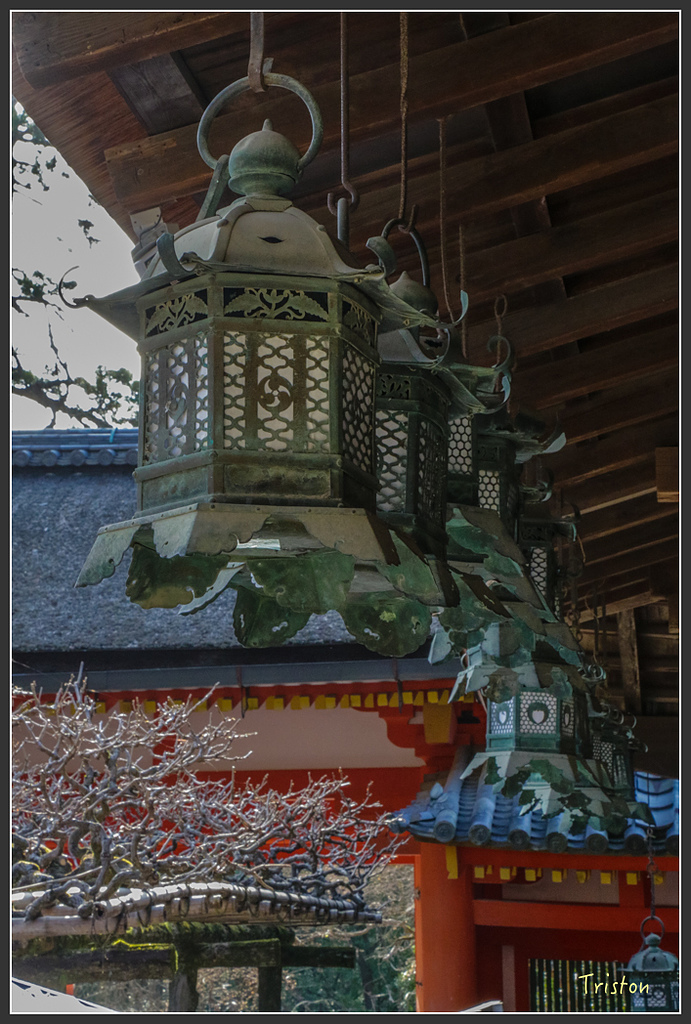 IMG_4068.jpg - 20160323 日本熊野古道健行