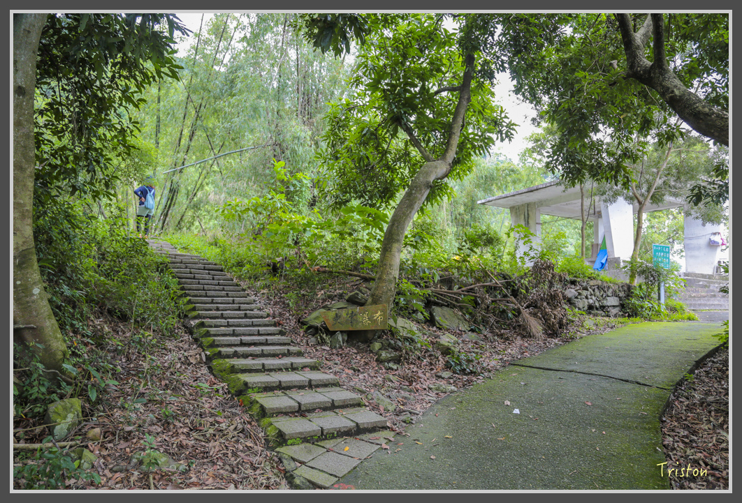 JH1A1889.jpg - 20160725 大津瀑布