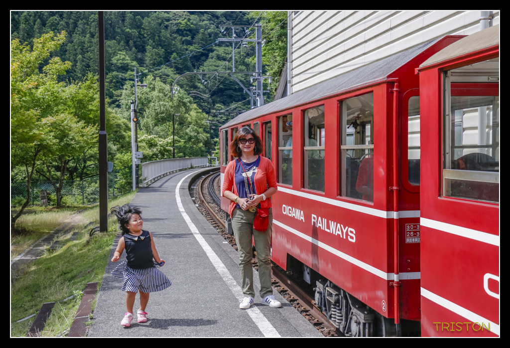 _MG_0486.jpg - 20170702 靜岡東海道之旅