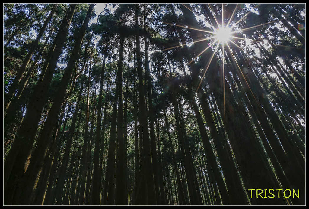 _MG_0009.jpg - 20170920 加里山