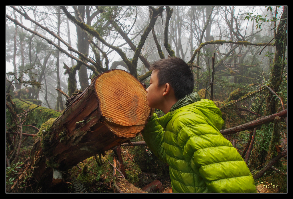 PA240162.jpg - 20151024~25 幾米公園、翠峰湖、翠峰山屋、望洋山步道、山毛櫸步道