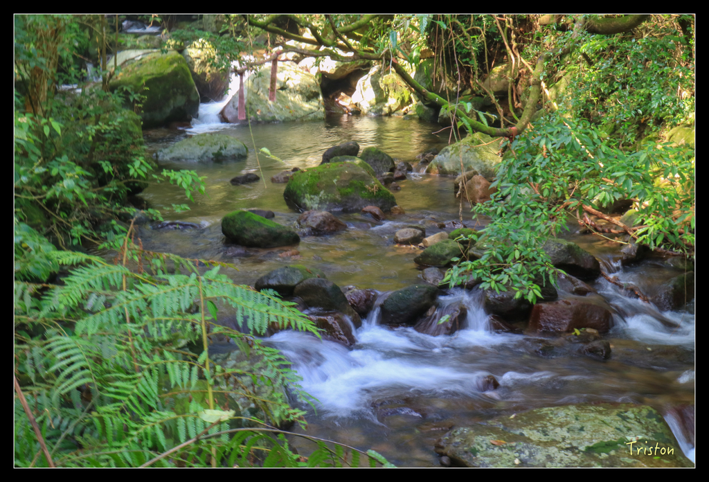 IMG_0538.jpg - 20151107 富士坪古道