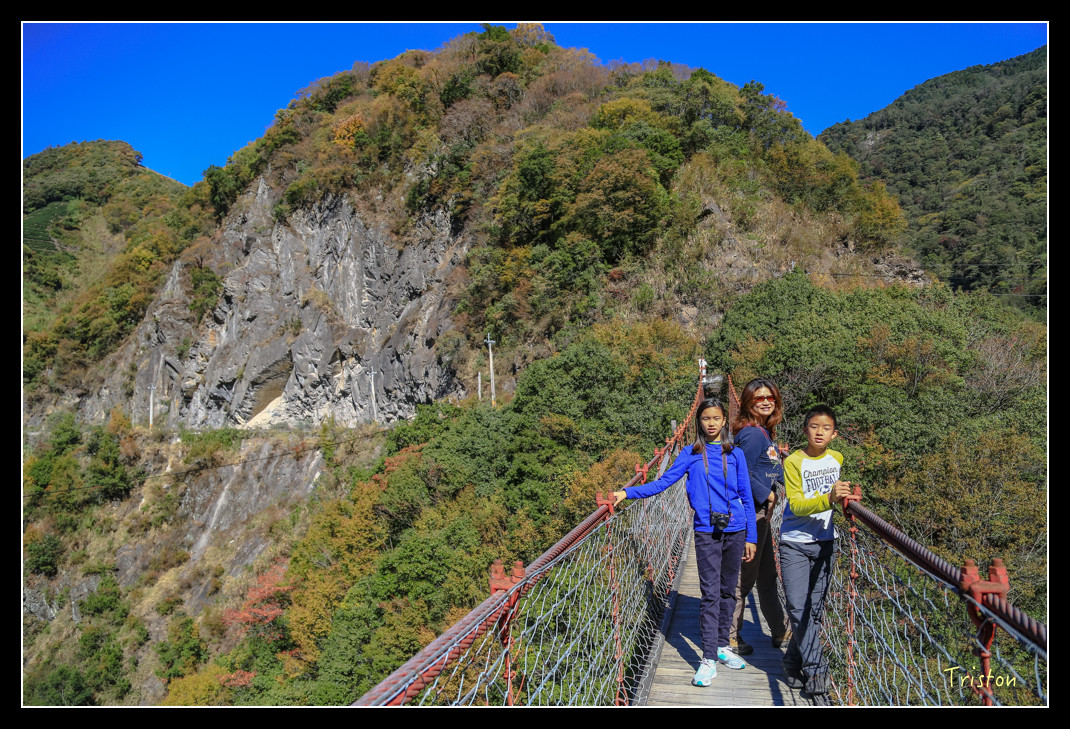 JH1A0588.jpg - 20151205 合歡溪步道、108K楓之谷