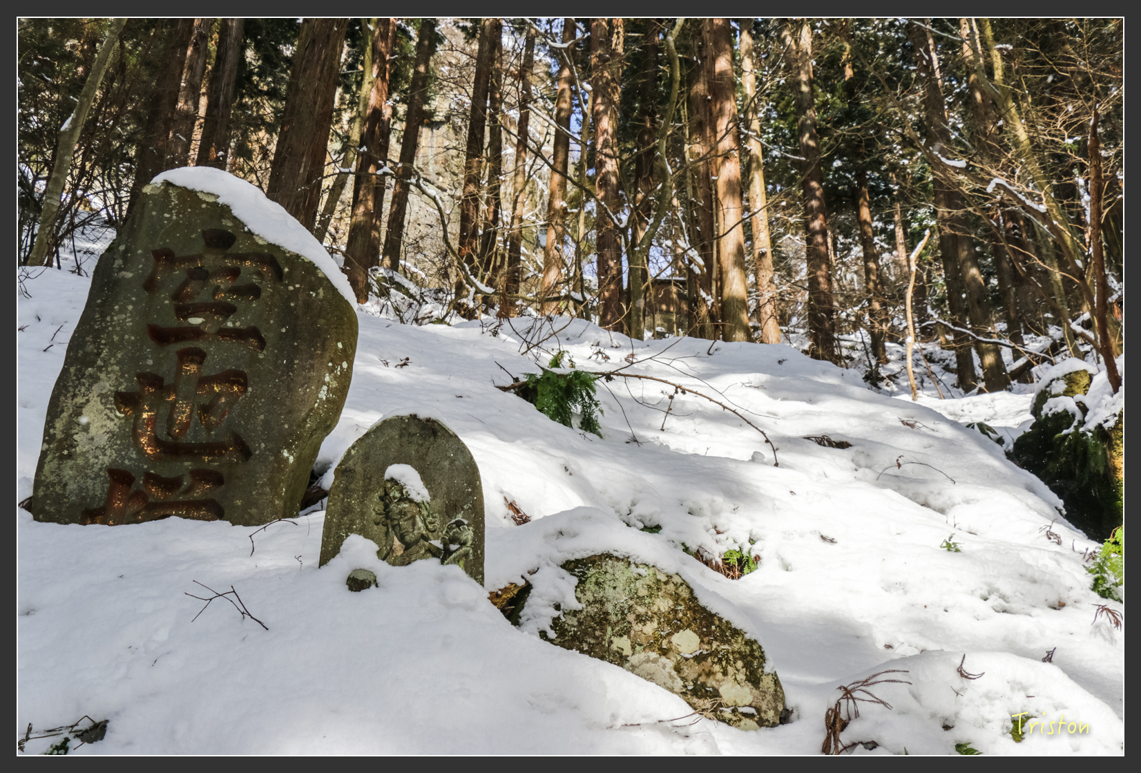 2016ZAO-00670.jpg - 20160131 日本藏王溫泉滑雪親子行
