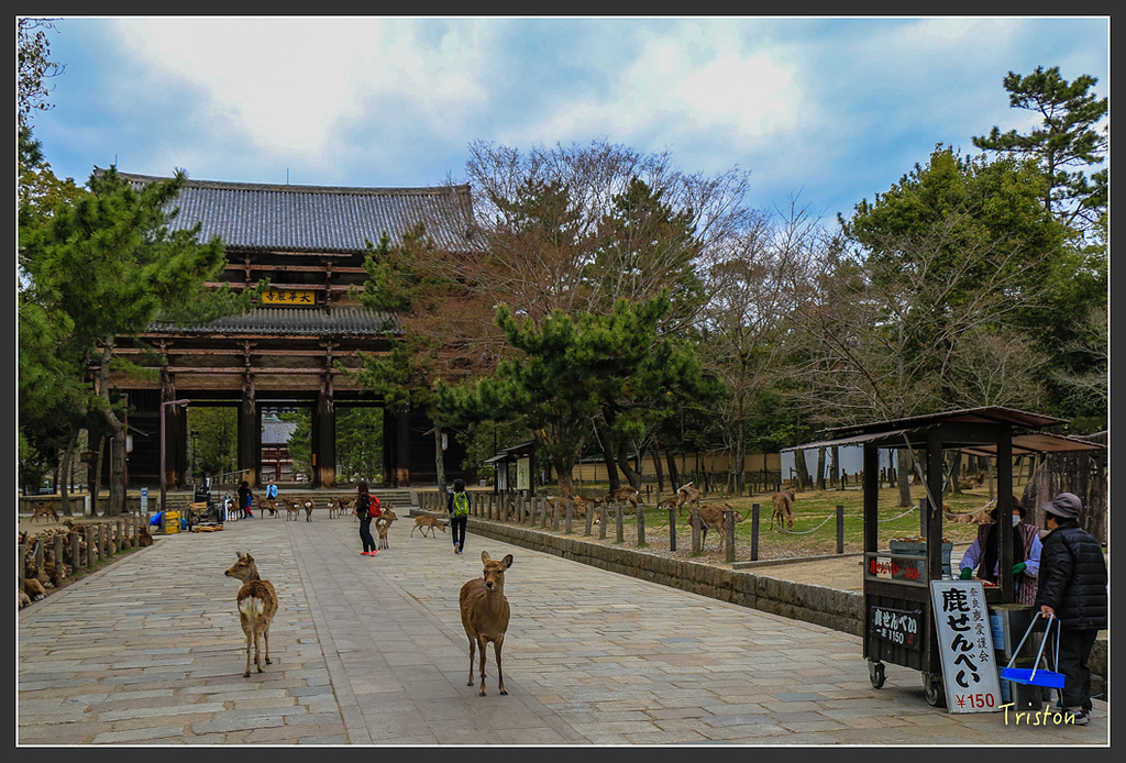 IMG_4313.jpg - 20160323 日本熊野古道健行