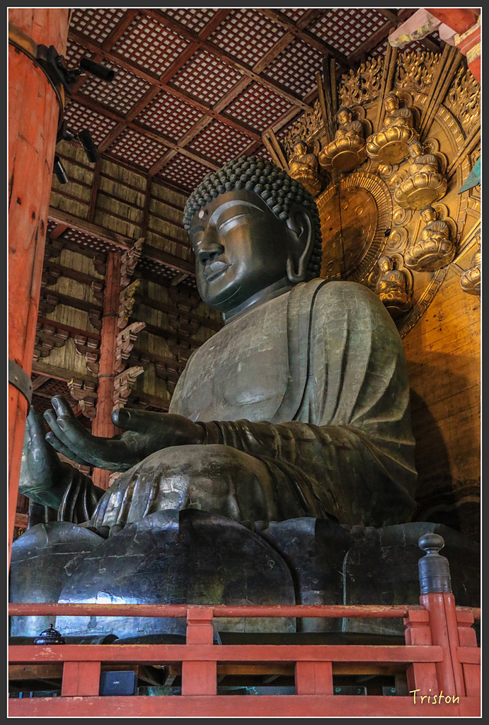 IMG_4386.jpg - 20160323 日本熊野古道健行