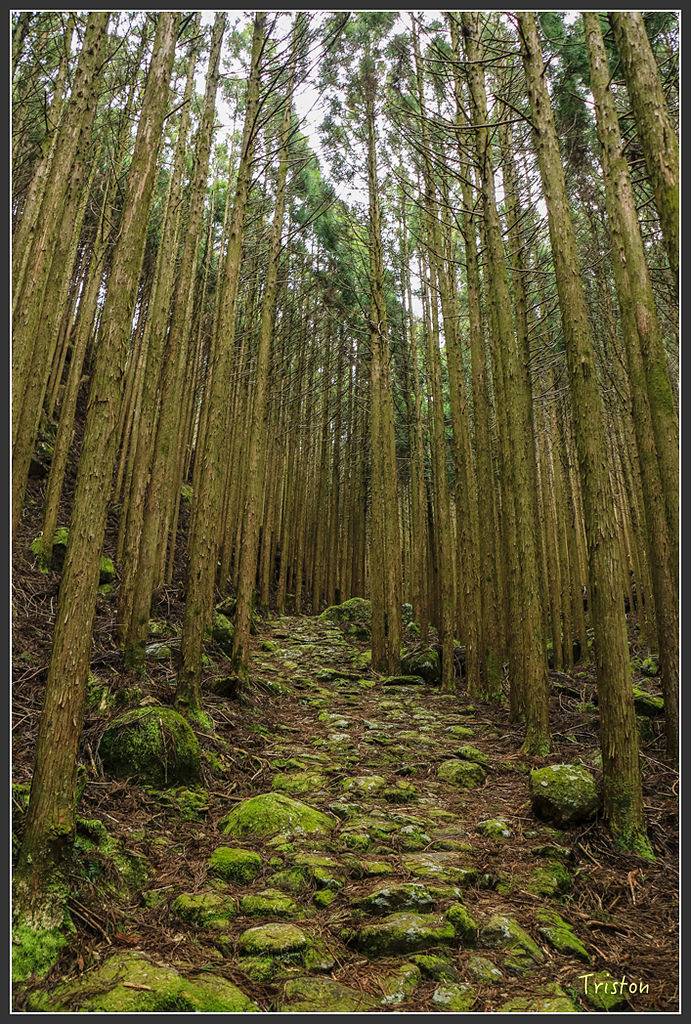 IMG_5497.jpg - 20160323 日本熊野古道健行