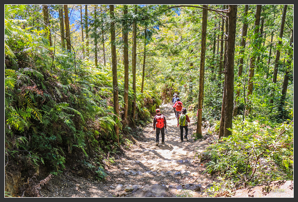 IMG_5104.jpg - 20160323 日本熊野古道健行