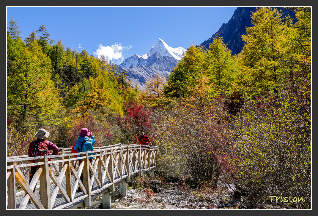 _MG_2200.jpg - 20161013 稻城亞丁