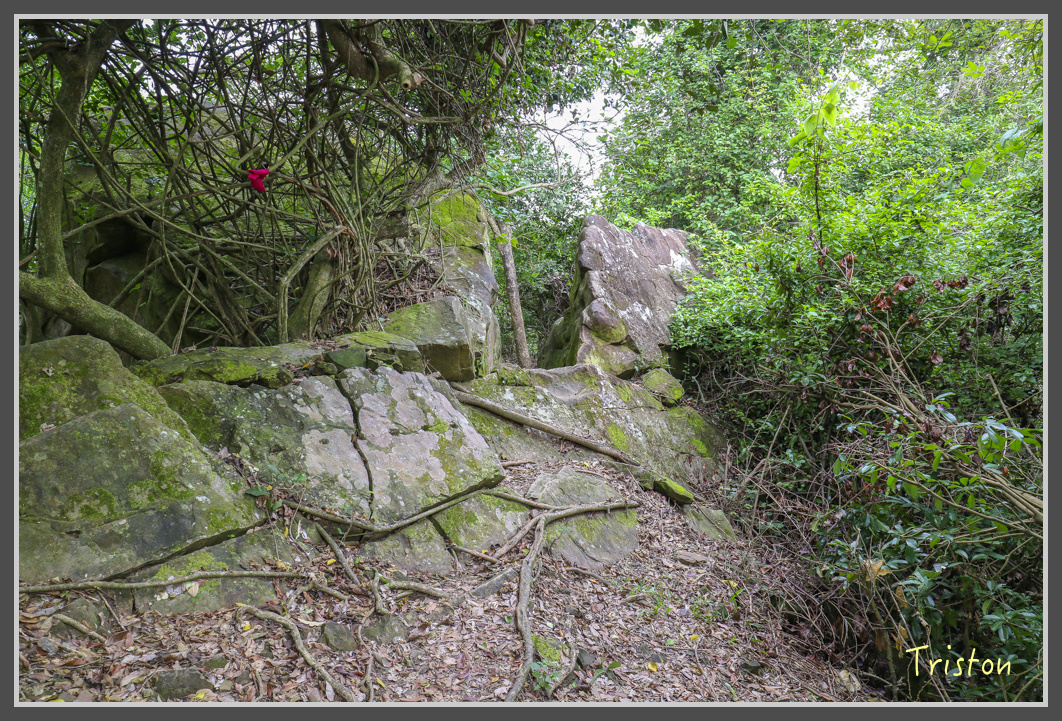 IMG_1943.jpg - 20161130 高雄旗尾山