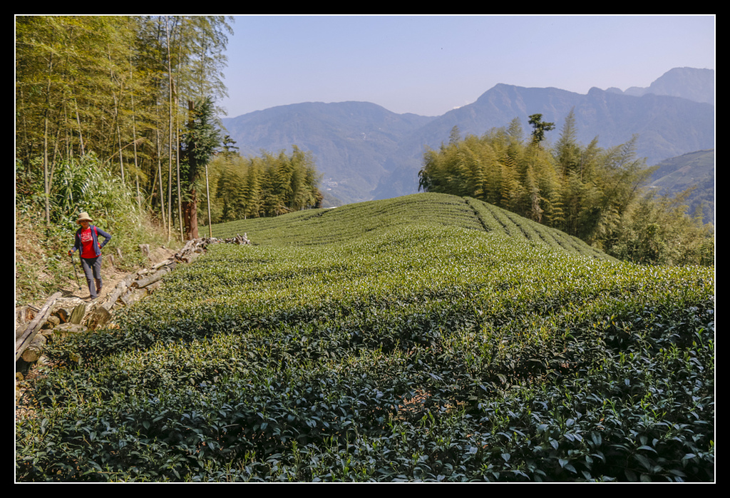 _MG_0019.jpg - 20170408 瑞太古道