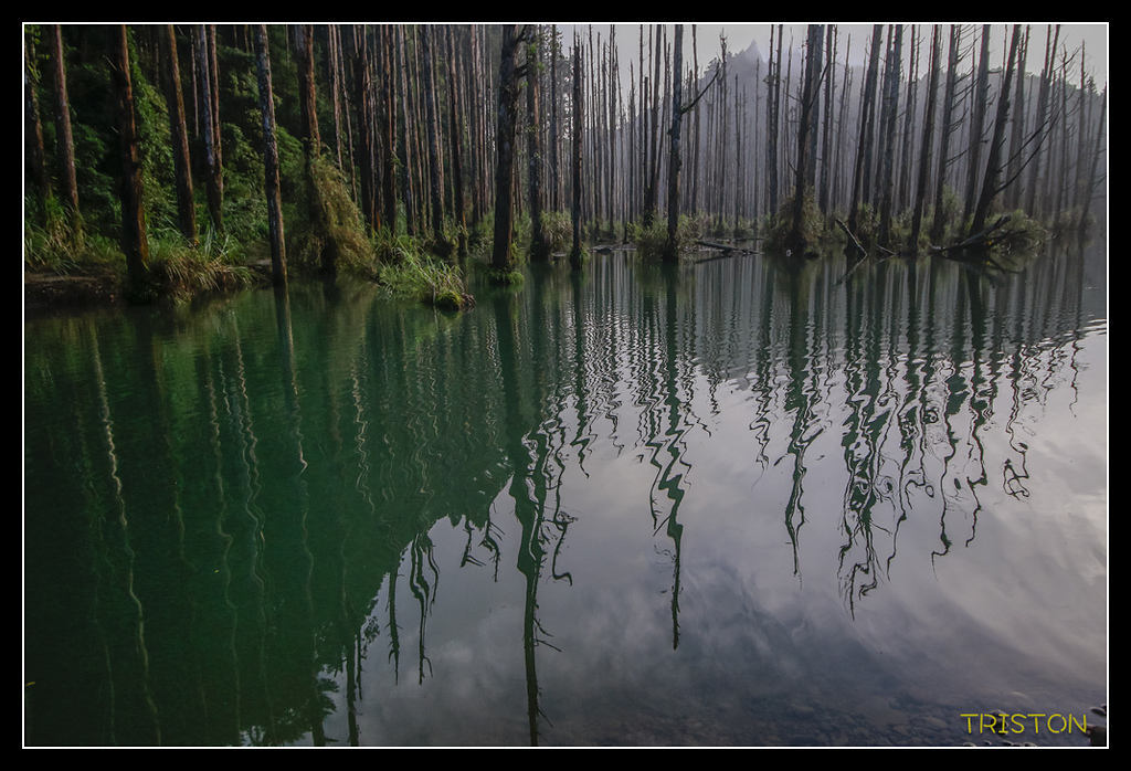 _MG_0162.jpg - 20170723 水漾森林