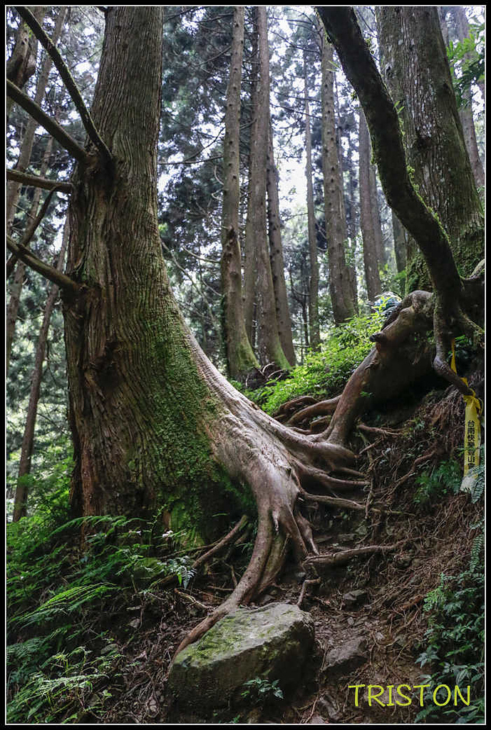 _MG_0057.jpg - 20170920 加里山