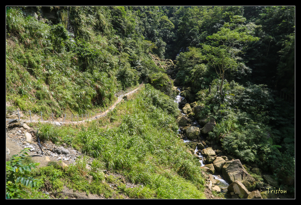 JH1A9858.jpg - 20151005 竹坑溪步道