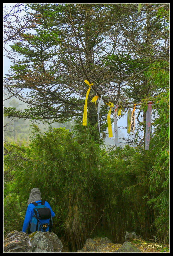 IMG_8747.jpg - 20151017 郡大林道、望鄉山、郡大山