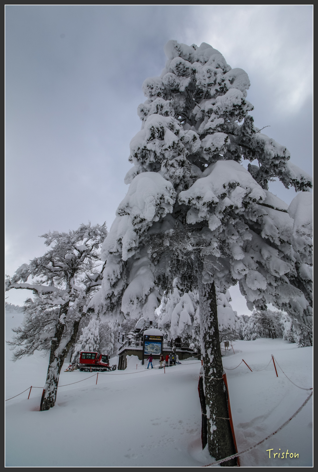2016ZAO-01773.jpg - 20160131 日本藏王溫泉滑雪親子行