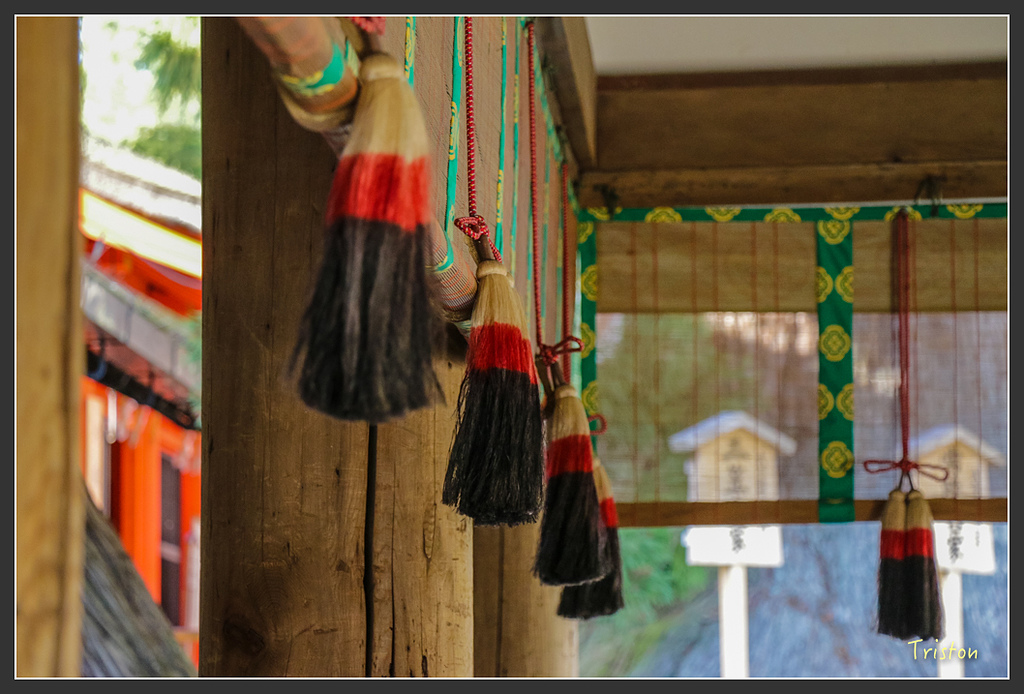 IMG_4080.jpg - 20160323 日本熊野古道健行