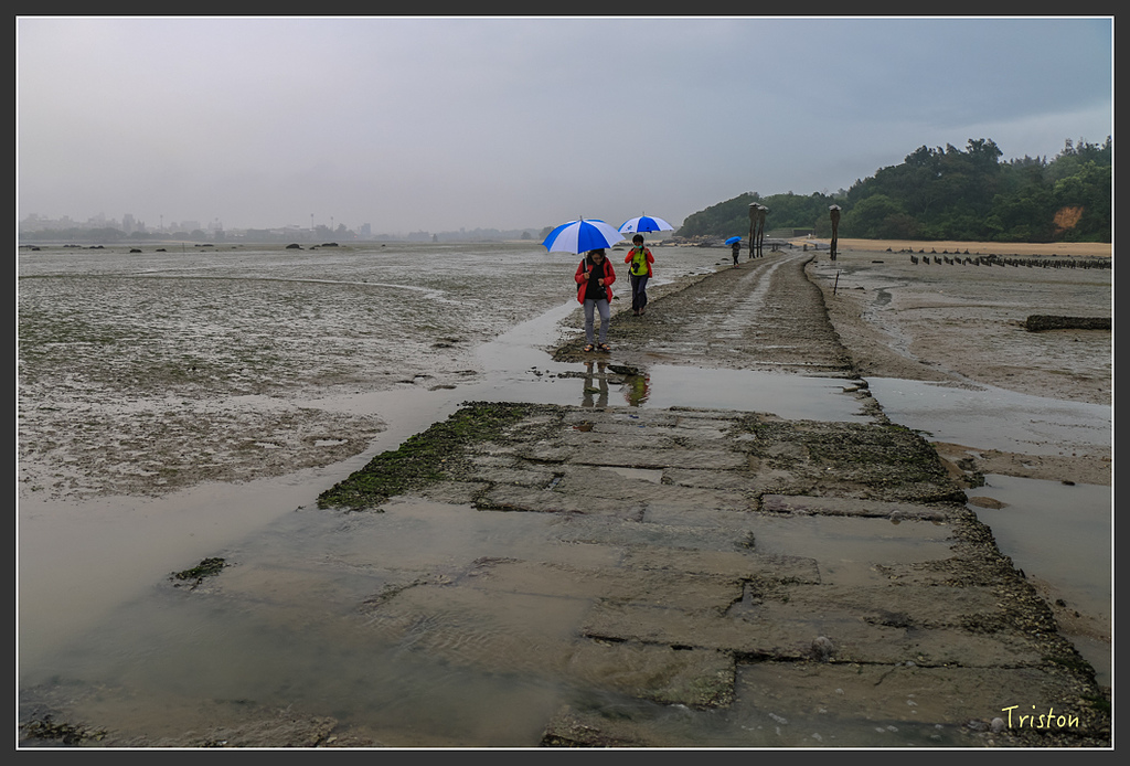 IMG_6929.jpg - 20160409 武夷山之旅