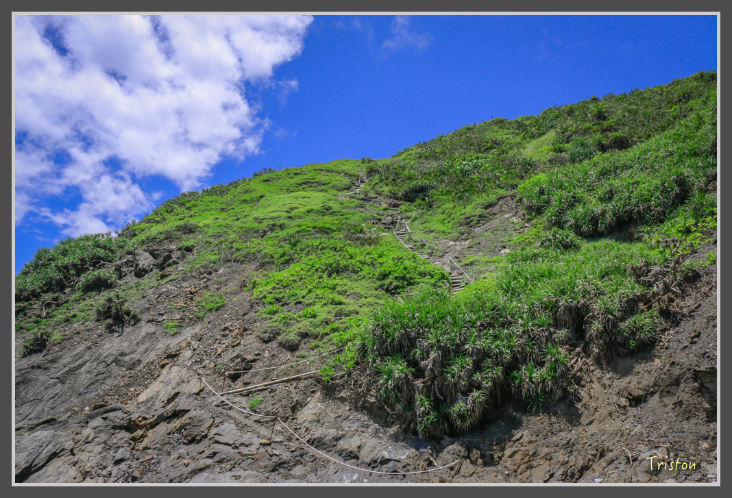 _MG_8368.jpg - 20160618 阿朗壹古道