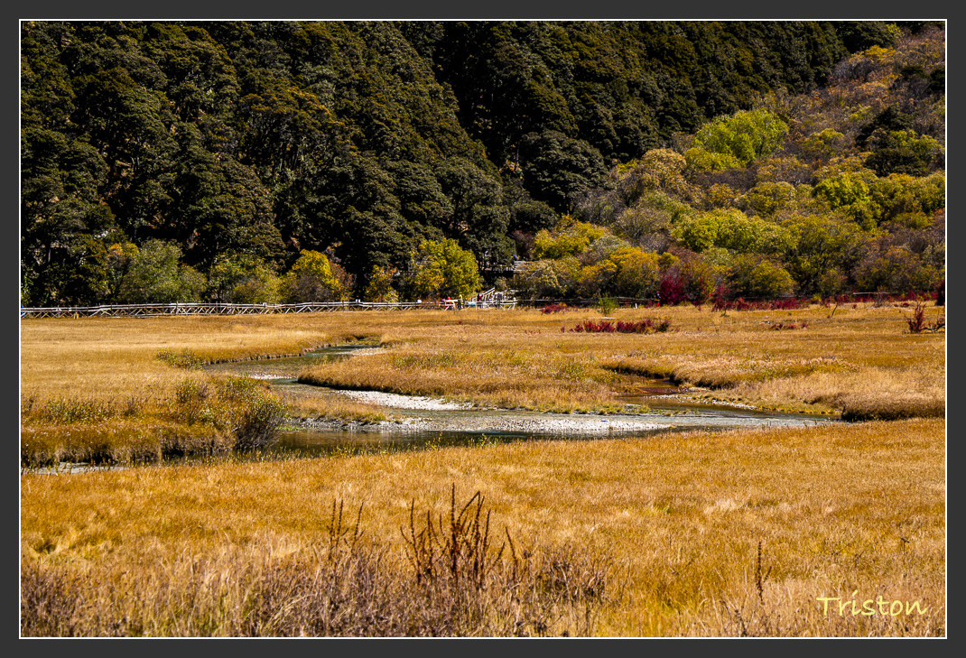 _MG_2184.jpg - 20161013 稻城亞丁