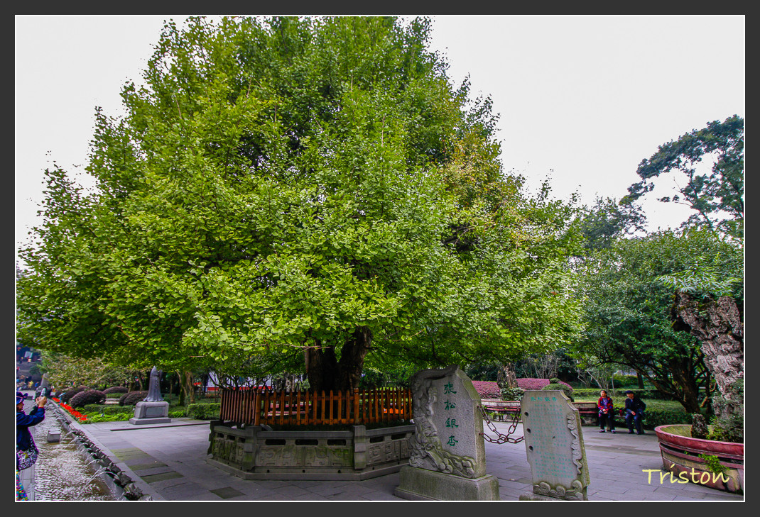 _MG_0064.jpg - 20161013 稻城亞丁