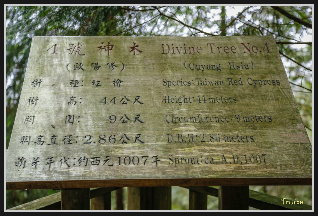 0076.jpg - 20161231 明池 神木園