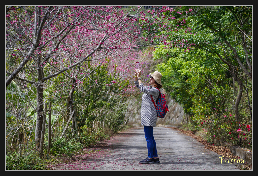 _H1A2520.jpg - 20170311 草嶺