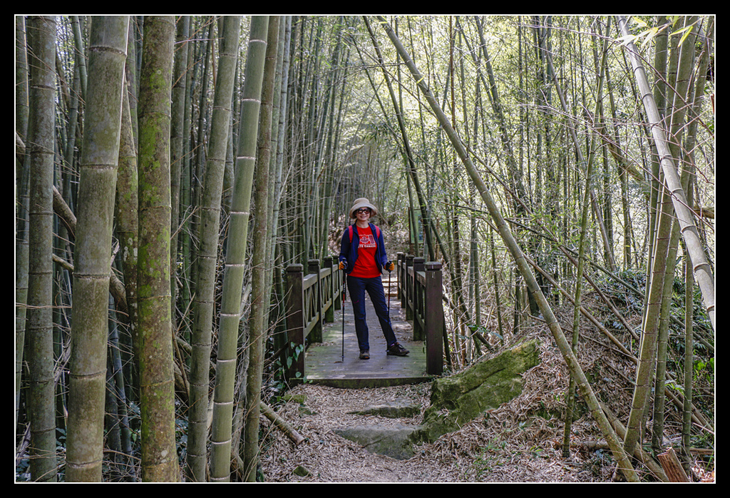 _MG_0025.jpg - 20170408 瑞太古道