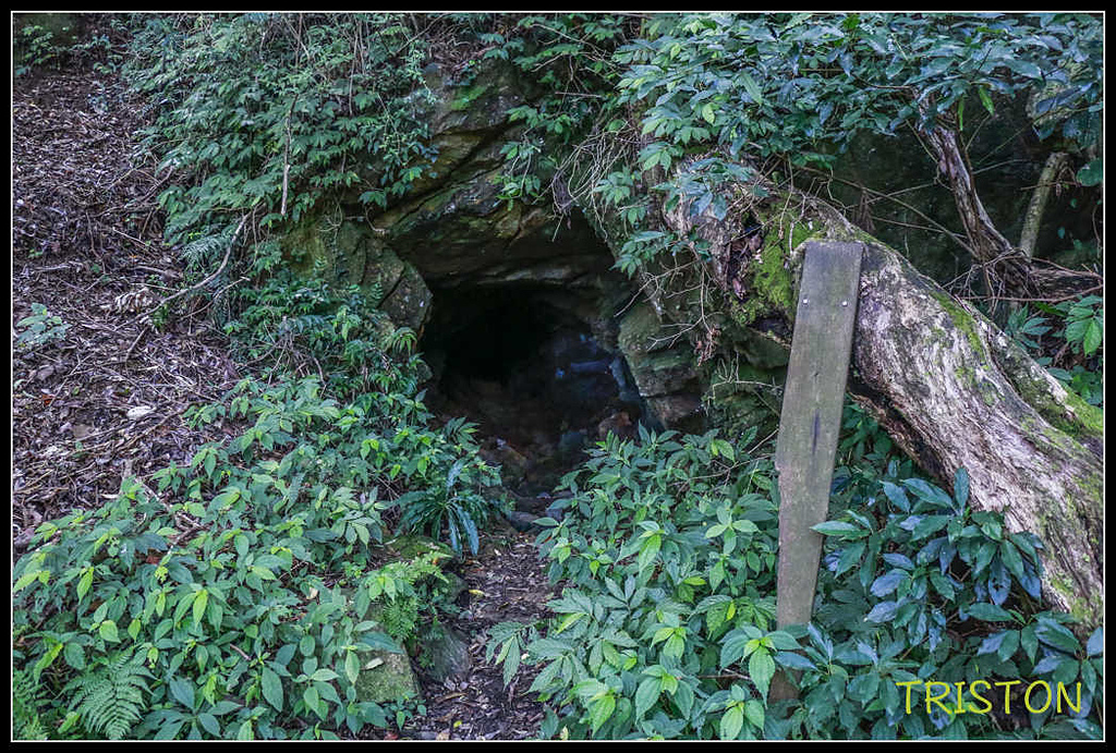 _MG_0024.jpg - 20170920 加里山