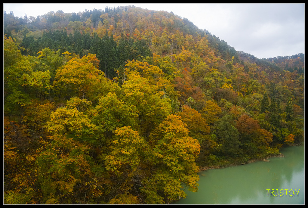 _H1A0839.jpg - 20171103 日本只見線、會津若松五色沼、昭和記念公園賞紅葉