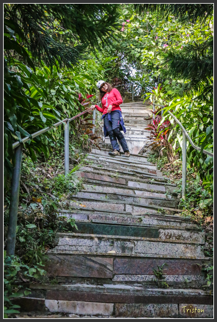 IMG_3227.jpg - 20160220 小崗山健行步道