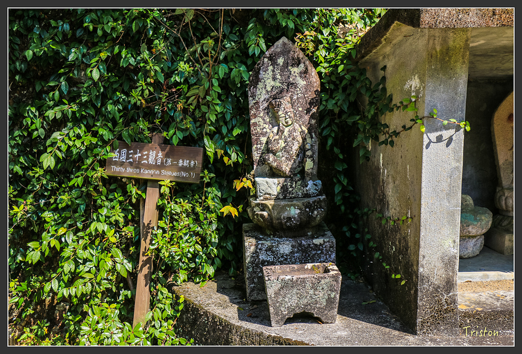 IMG_4823.jpg - 20160323 日本熊野古道健行