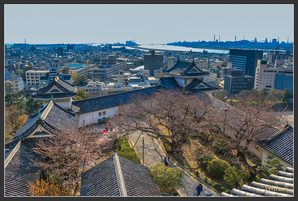 IMG_6003.jpg - 20160323 日本熊野古道健行