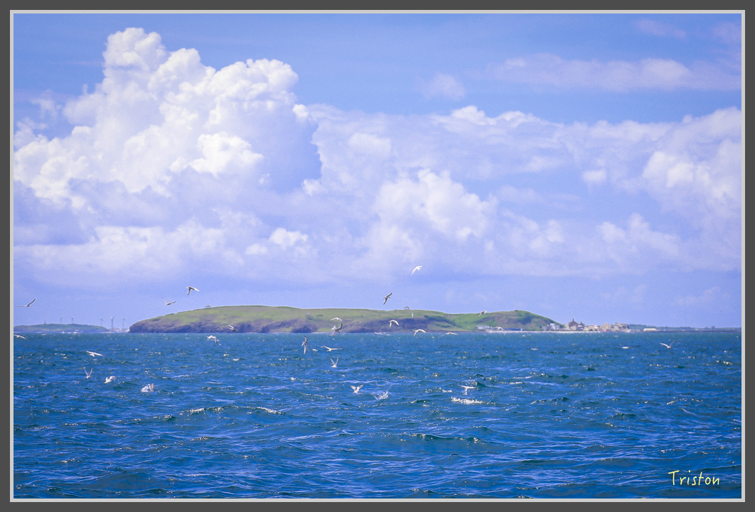 _H1A0664.jpg - 20160701 澎湖