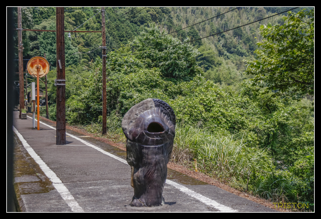 _MG_0307.jpg - 20170702 靜岡東海道之旅