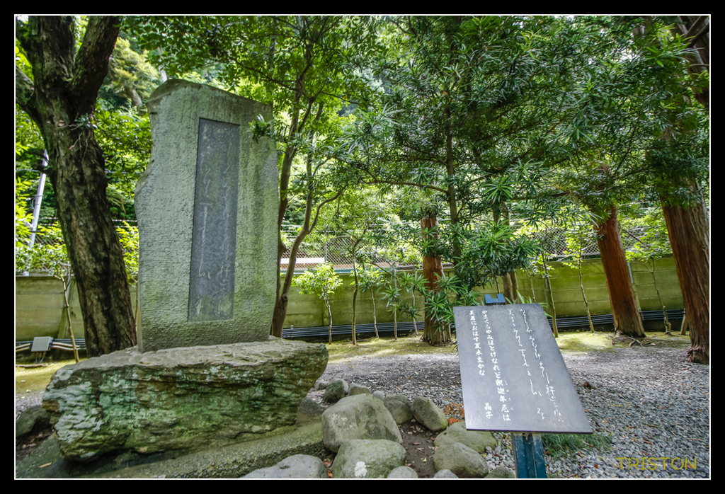 _MG_1430.jpg - 20170702 靜岡東海道之旅