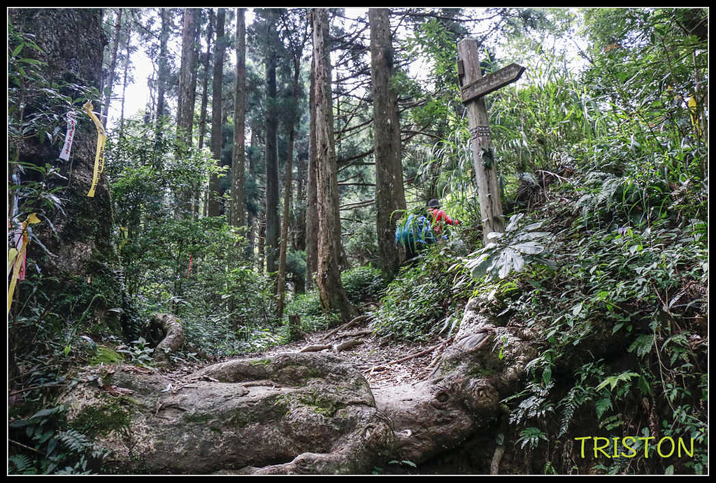 _MG_0031.jpg - 20170920 加里山