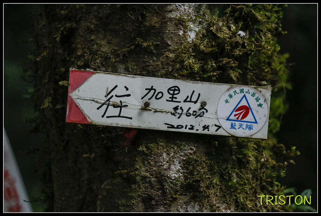 _MG_0092.jpg - 20170920 加里山