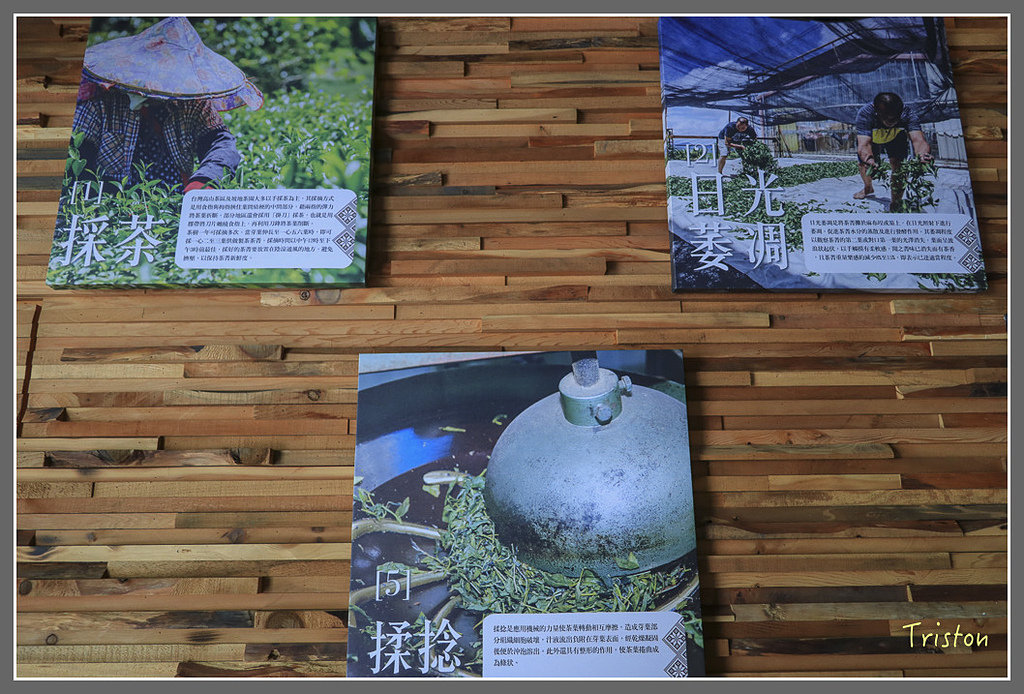 IMG_2222.jpg - 20180802 樂野山芙蓉揉茶,阿將咖啡的家