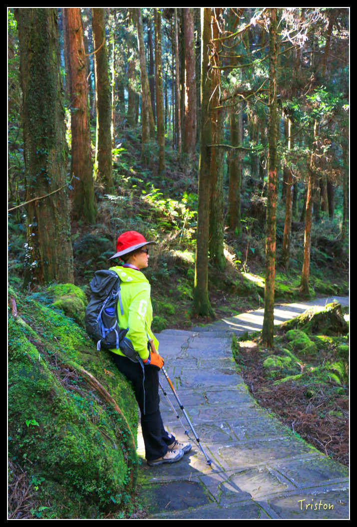 IMG_9203.jpg - 20151130 小笠原山、對高岳