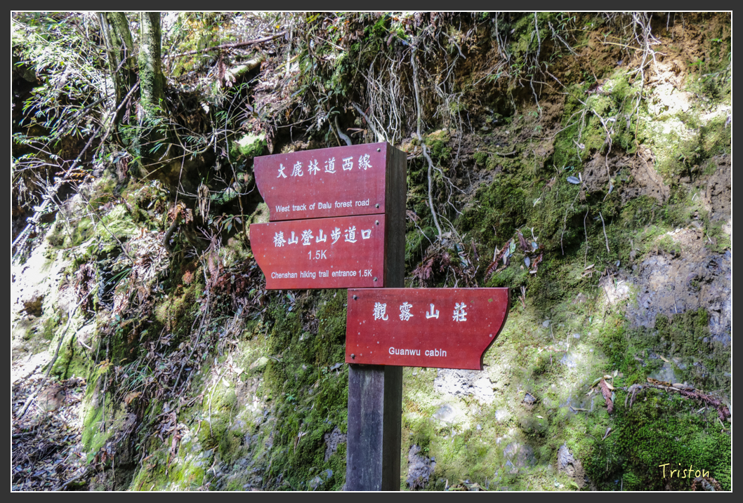 IMG_3402.jpg - 20160227 觀霧森林步道