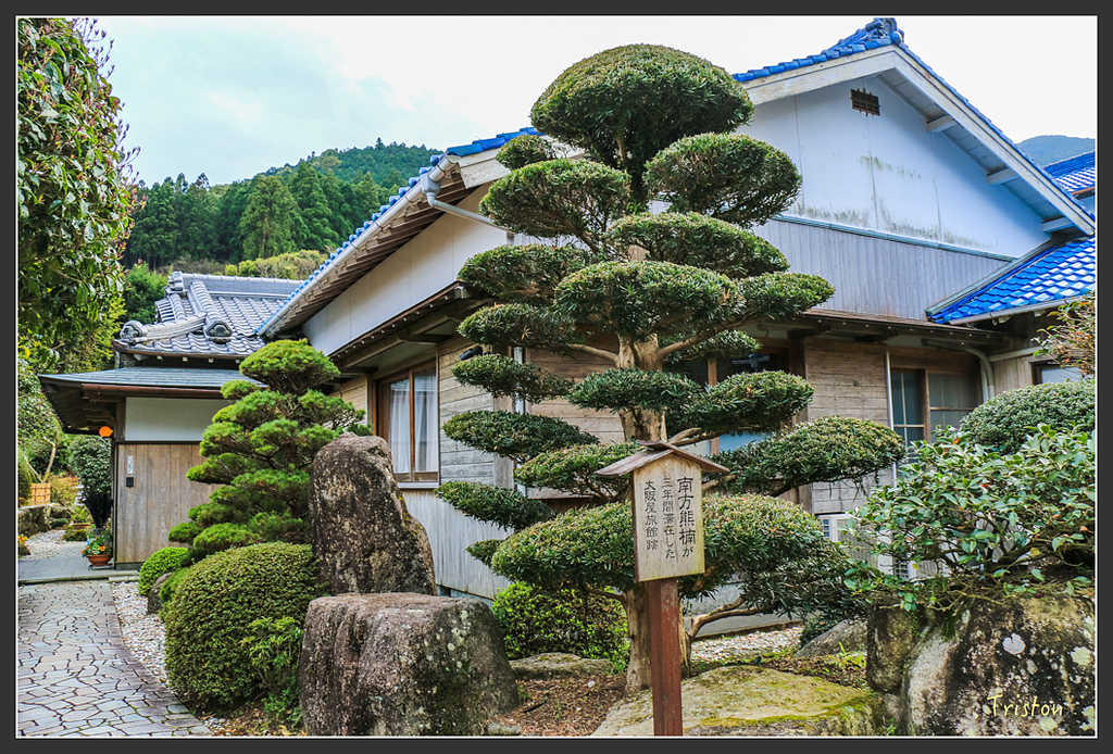 IMG_5757.jpg - 20160323 日本熊野古道健行