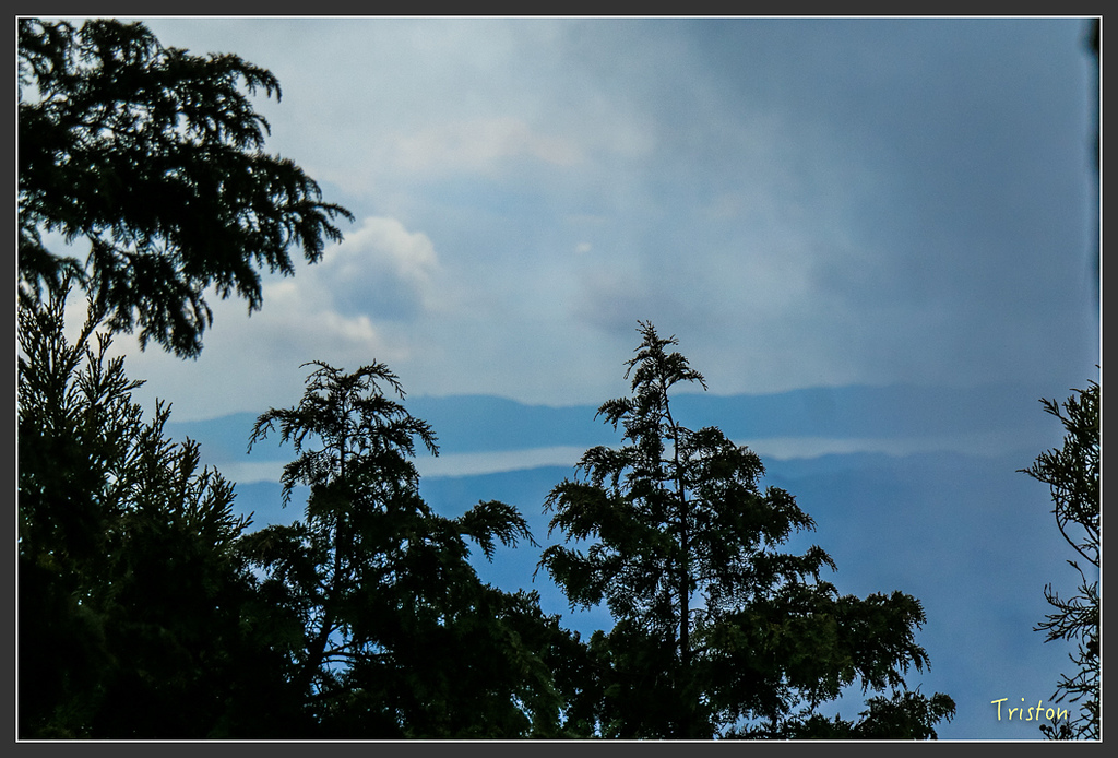 IMG_5558.jpg - 20160323 日本熊野古道健行